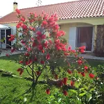 Dom wakacyjny Quinta Do Mar Mit Whirlpool By Interhome Azenhas do Mar